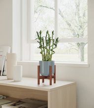 Load image into Gallery viewer, Misty Blue stand:walnut
