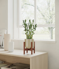 Load image into Gallery viewer, Sage Green stand:walnut
