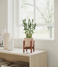 Load image into Gallery viewer, Sandy Pink stand:walnut
