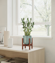 Load image into Gallery viewer, Reactive Aqua stand:walnut
