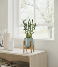 Load image into Gallery viewer, Reactive Aqua stand:bamboo
