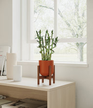 Load image into Gallery viewer, Earth Red stand:walnut
