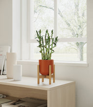 Load image into Gallery viewer, Earth Red stand:bamboo
