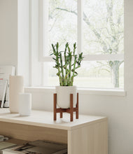 Load image into Gallery viewer, Natural Bamboo stand:walnut
