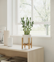 Load image into Gallery viewer, Natural Bamboo stand:bamboo
