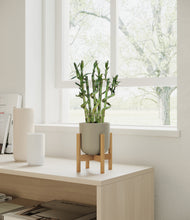Load image into Gallery viewer, Sage Green stand:bamboo
