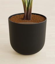 Load image into Gallery viewer, Stone Black stand:all
