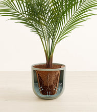 Load image into Gallery viewer, Natural Bamboo stand:all
