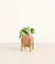 Load image into Gallery viewer, Calm Rose stand:bamboo
