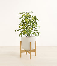 Load image into Gallery viewer, Natural Bamboo stand:bamboo
