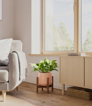 Load image into Gallery viewer, Calm Rose stand:walnut
