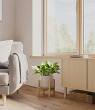 Load image into Gallery viewer, Eternal Gray stand:bamboo
