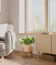 Load image into Gallery viewer, Gentle Pink stand:bamboo
