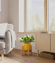 Load image into Gallery viewer, Mustard stand:bamboo
