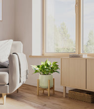 Load image into Gallery viewer, Turquoise stand:bamboo
