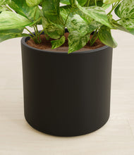 Load image into Gallery viewer, Black stand:all
