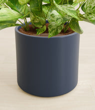 Load image into Gallery viewer, Deep Navy stand:all
