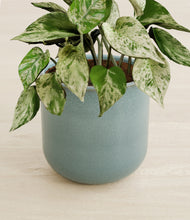 Load image into Gallery viewer, Reactive Aqua stand:all
