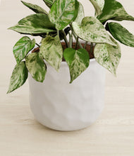 Load image into Gallery viewer, Hammered Ivory stand:all
