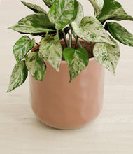 Load image into Gallery viewer, Hammered Peach Pink stand:all
