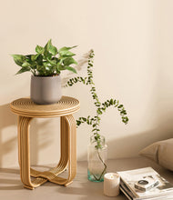 Load image into Gallery viewer, Eternal Gray
