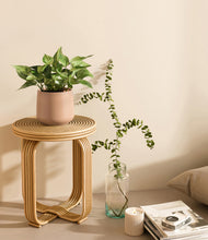 Load image into Gallery viewer, Gentle Pink
