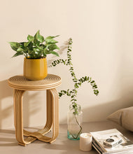 Load image into Gallery viewer, Mustard
