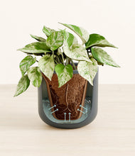 Load image into Gallery viewer, Iron Gray stand:all
