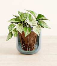 Load image into Gallery viewer, Misty Blue stand:all
