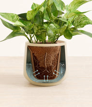 Load image into Gallery viewer, Almond Green stand:all
