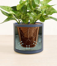 Load image into Gallery viewer, Deep Navy stand:all
