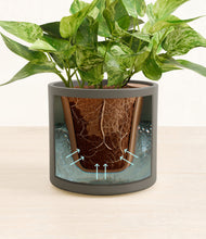 Load image into Gallery viewer, Dark Olive stand:all
