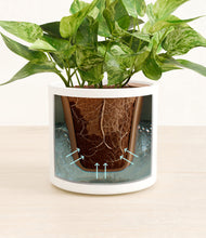 Load image into Gallery viewer, White stand:all
