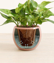 Load image into Gallery viewer, Calm Rose stand:all
