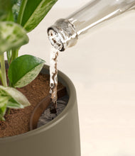 Load image into Gallery viewer, Olive stand:all
