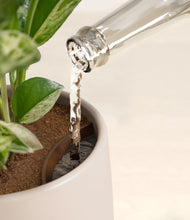 Load image into Gallery viewer, Eternal Gray stand:all
