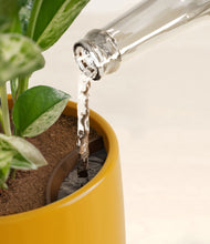 Load image into Gallery viewer, Mustard stand:all
