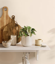 Load image into Gallery viewer, Snowdrift White
