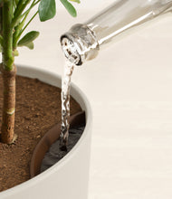 Load image into Gallery viewer, Natural Bamboo stand:all
