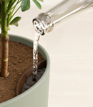 Load image into Gallery viewer, Sage Green stand:all
