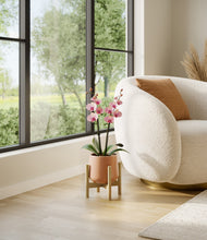 Load image into Gallery viewer, Calm Rose stand:bamboo
