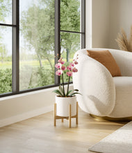 Load image into Gallery viewer, White stand:bamboo
