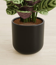 Load image into Gallery viewer, Stone Black stand:all
