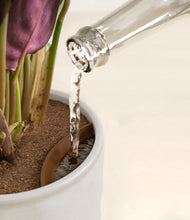 Load image into Gallery viewer, Hammered Ivory stand:all
