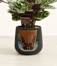 Load image into Gallery viewer, Black stand:all
