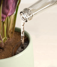 Load image into Gallery viewer, Turquoise stand:all
