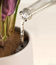 Load image into Gallery viewer, Eternal Gray stand:all
