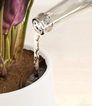 Load image into Gallery viewer, White stand:all
