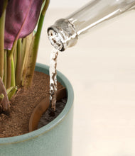 Load image into Gallery viewer, Moss Frost stand:all
