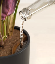 Load image into Gallery viewer, Stone Black stand:all
